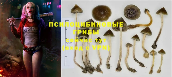 ГАЛЛЮЦИНОГЕННЫЕ ГРИБЫ Алзамай