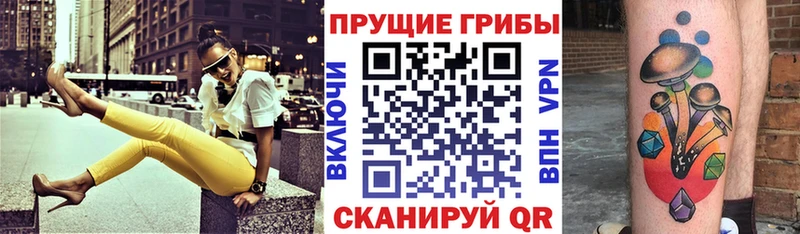 Псилоцибиновые грибы GOLDEN TEACHER  Глазов 