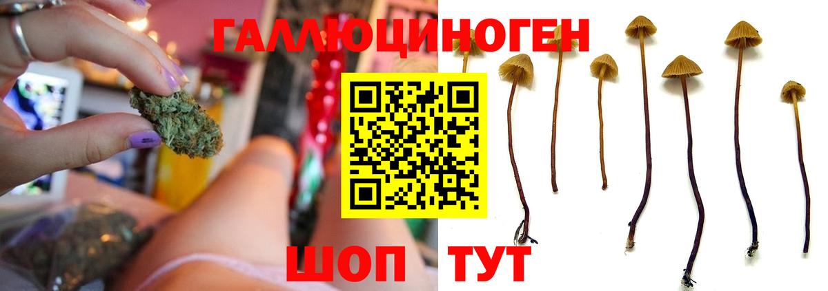 Псилоцибиновые грибы GOLDEN TEACHER  Вход с VPN  Глазов 